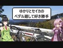 ペダル廻して好き勝手　未だに車載じゃない　0.5回