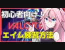 [Valorant] 初心者向けの練習方法