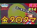 part14 ゴールデンタマタマだYO!YO!ですよ!【Pokémon LEGENDS アルセウス】実況 ポケモンレジェンズアルセウス
