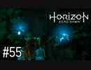 【ゆっくり実況】Horizon Zero Dawn その55