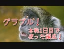 【グランブルーファンタジー Part270】光古戦場1日目で使った編成！フルオートでどこまでいけるか…！