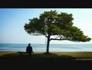 【本人が歌ってみた】哀しみのなれの果てに/#1501 feat.Icchi