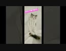 この状態で動ける奴いる？