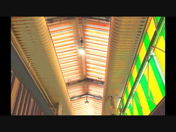 ハイカラ！/v4 flower