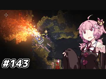 【Noita# 143】葵ちゃん、魔女になるってよ【WinStreak4】