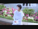 【春】さようなら、花泥棒さん　踊ってみた【SnRun】