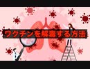 【完全保存版】解毒・デトックス
