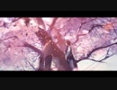 夕刻、夢ト見紛ウ / しろにゃんこ×七篠もなか
