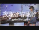 【歌コレ】夜駆け春駆け／梨木つむぎ【オリジナルMV】