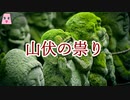 山伏の祟り【ゆっくり怪談】【怖い話】家系にまつわるｵｶﾙﾄ