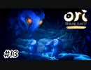 知らなかったクロの事【Ori and the Blind Forest】#13