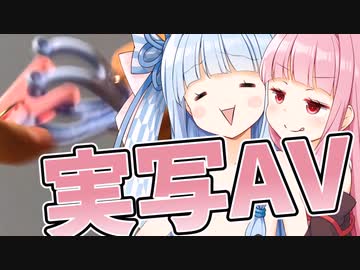 洗濯バサミと化した琴葉姉妹【実写ボイロＡＶ】