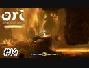 岩は友達、敵じゃない…はず…【Ori and the Blind Forest】#14