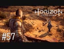 【ゆっくり実況】Horizon Zero Dawn その57