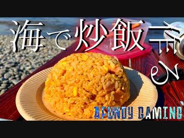 【実写動画】海で炒飯作って塩ホルモン焼いたら優勝した　