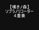 嘆きノ森　ソプラノリコーダー　４重奏