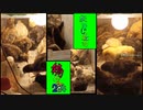 変なおじさんとこの　鶏さん２８４　賑やかなひよこ饅頭