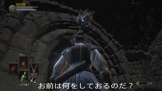 死んだ数を数えながらDARK SOULS3実況してみたPart.020