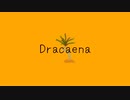 Dracaena - ワンフラ