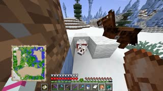2022/04/17【【マイクラ】南極物語～樹氷に置いてきた狼を迎えに～】