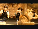 【みけねこ男子】『占い男子』その34夜≪前編≫