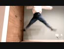 【白米。】ハッピーシンセサイザ  踊ってみた【飛んだ。】