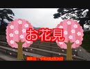 【北海道】函館公園でお花見散歩