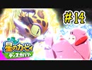 ほおばられた男の『星のカービィ ディスカバリー』攻略#14◆赤紫