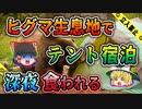 【ゆっくり解説】テレビ撮影のためテント泊 ヒグマの襲撃にあい生きたまま連れ去られてしまった写真家星野道夫ヒグマ襲撃事件