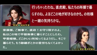 信長の野望天道・平将門の野望　中部制圧編後編 第６話　徳川家その後