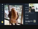 2022年4月26日　（ロシア・ウクライナ・宗教・歴史　新型コロナやワクチン）　放送の録画です。