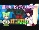 ドミネ好きの行く星のカービィディスカバリーPart.34【東北きりたん＆ずんだもん実況】