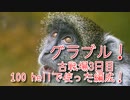 【グランブルーファンタジー Part273】光古戦場3日目！100 hellで使った編成が硬すぎたｗｗｗｗ