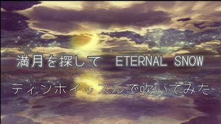 【ティンホイッスル】ETERNAL SNOW【吹いてみた】( ´･ω･)つ旦