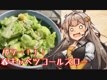 え、一皿で様々な栄養が取れるサラダを！？【春キャベツ コールスローパワーサラダ】