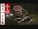 【エルデンリング】小壺の全イベント集