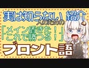 よく見るけど実は知らない人のためのニコニココメント紹介 「ブロント語」