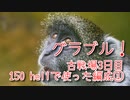 【グランブルーファンタジー Part274】光古戦場3日目！初めての光神石！150 hellで使った編成！①
