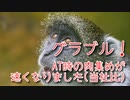 【グランブルーファンタジー Part276】光古戦場3日目！AT時の肉集めが速くなりました(当社比)