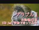 【グランブルーファンタジー Part277】光古戦場3日目！150 hell、手動で走ってみた。