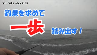 足掻きまくる釣り【シーバスチャレンジ13】