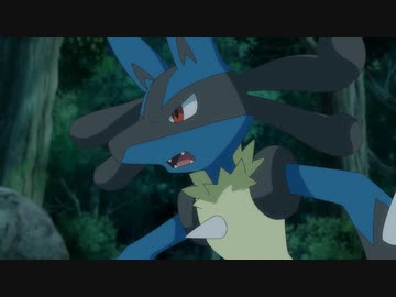 ポケットモンスター　第101話～第147話　第108話　ルカリオとゲッコウガ！運命の波導！！