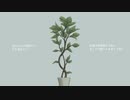 ノマド　歌ってみた/yamada.