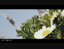 春に一番近い街 ver.Saion【歌ってみた】