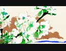 flower @Chiyuri Nagayama