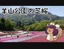 芝桜の丘を見に行きませんか？～羊山公園の芝桜編～【VOICEROID旅行】