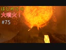 【ゆっくり実況】二度目ゼルダはじめてのスカウォ！！ part75 【ゼルダの伝説スカイウォードソード】