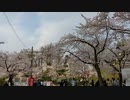 【2022春】昼の高田城址公園