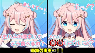 生ハムは木製だった！？今まで木から取れると勘違いしてたVTuber【VTuber切り抜き/星ノ音コロン】