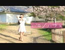 【kawaiiKana?】ハロ／ハワユ踊ってみた【桜動画２個目☆】